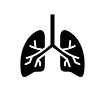 Zdravé dýchacie cesty