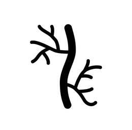 Zdravé žily a cievy